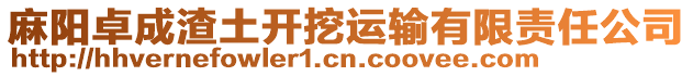 麻陽卓成渣土開挖運輸有限責任公司