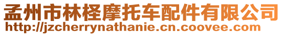 孟州市林檉摩托車配件有限公司