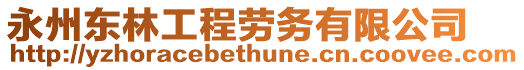 永州東林工程勞務(wù)有限公司
