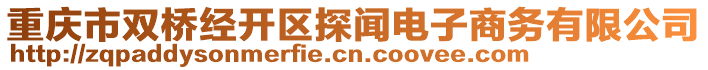 重慶市雙橋經(jīng)開區(qū)探聞電子商務(wù)有限公司