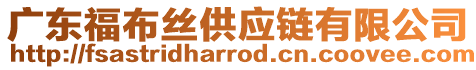 廣東福布絲供應(yīng)鏈有限公司
