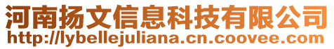 河南揚(yáng)文信息科技有限公司