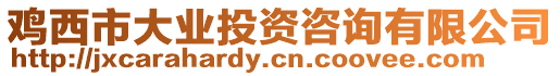 雞西市大業(yè)投資咨詢(xún)有限公司