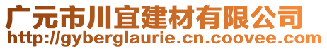 廣元市川宜建材有限公司