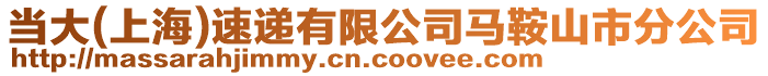 當(dāng)大(上海)速遞有限公司馬鞍山市分公司