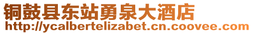 銅鼓縣東站勇泉大酒店