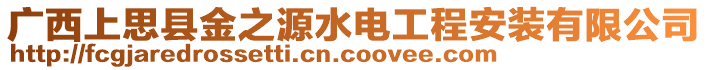 廣西上思縣金之源水電工程安裝有限公司