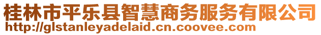 桂林市平樂縣智慧商務(wù)服務(wù)有限公司