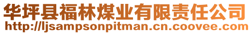 華坪縣福林煤業有限責任公司
