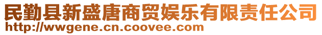 民勤縣新盛唐商貿(mào)娛樂有限責(zé)任公司