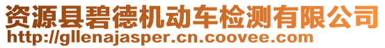 資源縣碧德機(jī)動車檢測有限公司