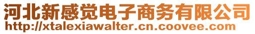 河北新感覺電子商務(wù)有限公司