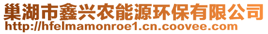 巢湖市鑫興農(nóng)能源環(huán)保有限公司