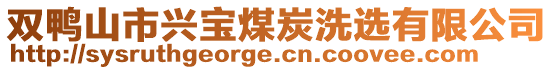 雙鴨山市興寶煤炭洗選有限公司