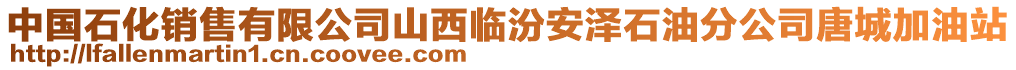 中国石化销售有限公司山西临汾安泽石油分公司唐城加油站