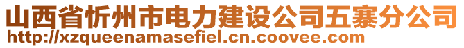 山西省忻州市電力建設(shè)公司五寨分公司