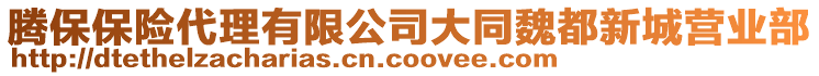 騰保保險代理有限公司大同魏都新城營業(yè)部