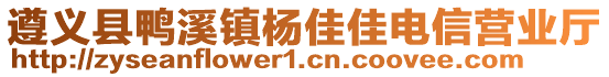 遵義縣鴨溪鎮(zhèn)楊佳佳電信營業(yè)廳