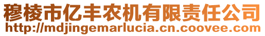 穆棱市億豐農(nóng)機(jī)有限責(zé)任公司