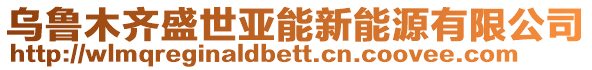 烏魯木齊盛世亞能新能源有限公司