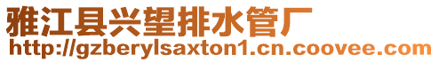 雅江縣興望排水管廠