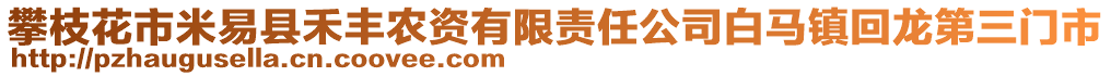 攀枝花市米易县禾丰农资有限责任公司白马镇回龙第三门市