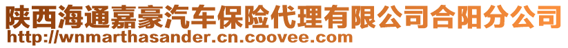 陜西海通嘉豪汽車保險代理有限公司合陽分公司