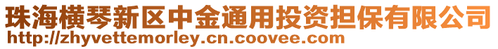 珠海橫琴新區中金通用投資擔保有限公司