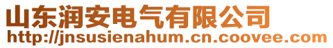 山東潤安電氣有限公司