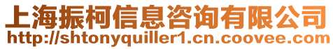 上海振柯信息咨詢(xún)有限公司
