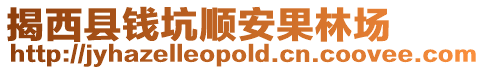 揭西縣錢坑順安果林場