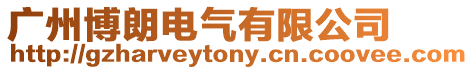 廣州博朗電氣有限公司