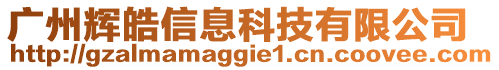 廣州輝皓信息科技有限公司