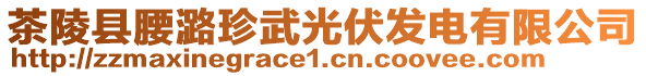 茶陵縣腰潞珍武光伏發(fā)電有限公司