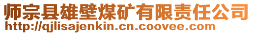 師宗縣雄壁煤礦有限責任公司