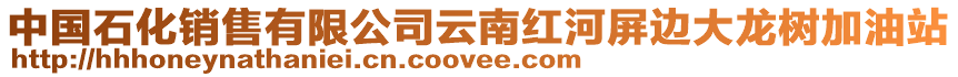 中國(guó)石化銷售有限公司云南紅河屏邊大龍樹加油站