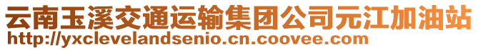 云南玉溪交通運(yùn)輸集團(tuán)公司元江加油站