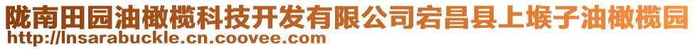 隴南田園油橄欖科技開發(fā)有限公司宕昌縣上堠子油橄欖園