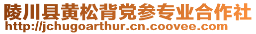 陵川縣黃松背黨參專業(yè)合作社