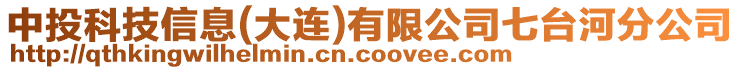 中投科技信息(大連)有限公司七臺河分公司