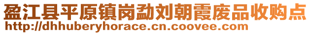 盈江縣平原鎮(zhèn)崗勐劉朝霞廢品收購點