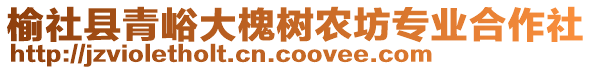 榆社縣青峪大槐樹農(nóng)坊專業(yè)合作社