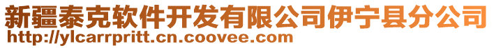 新疆泰克軟件開發(fā)有限公司伊寧縣分公司