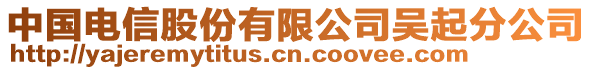 中国电信股份有限公司吴起分公司