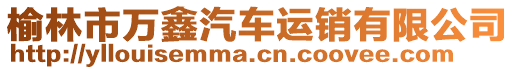 榆林市萬鑫汽車運銷有限公司