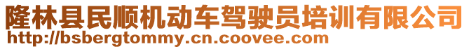 隆林縣民順機動車駕駛員培訓有限公司