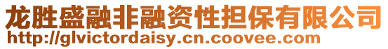 龍勝盛融非融資性擔(dān)保有限公司