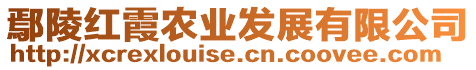 鄢陵紅霞農(nóng)業(yè)發(fā)展有限公司