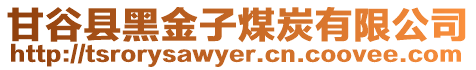 甘谷縣黑金子煤炭有限公司