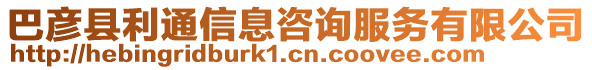 巴彥縣利通信息咨詢服務(wù)有限公司